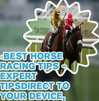 Best horse racing tipster free
