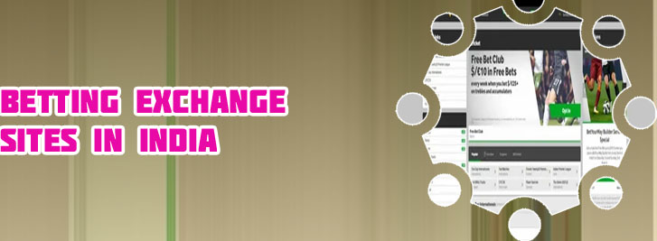 Best ipl betting site