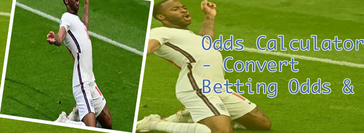 Euro odds to win